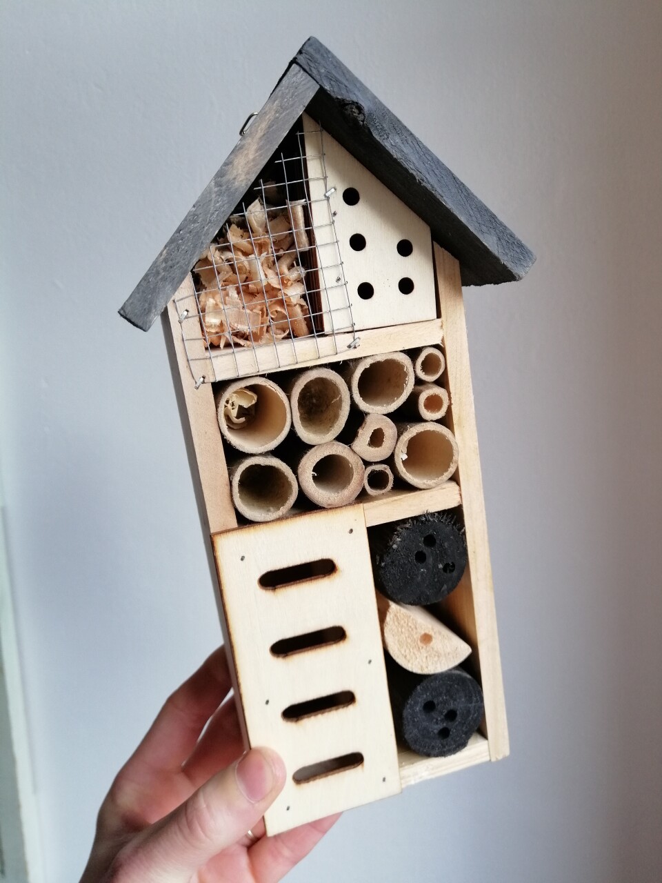 Modele-dhotel-a-insecte_20230921-135024_1
